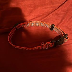 NWOT Red & Blue Dog Collar
